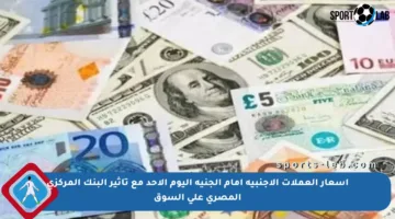 أسعار العملات الأجنبية أمام الجنيه اليوم الأحد مع تأثير البنك المركزي المصري على السوق